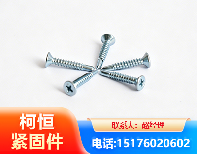 阳江平头钻尾丝