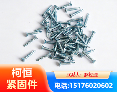 阳江平头钻尾丝